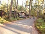 Tn IMG 1442
